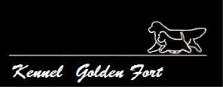 Golden Fort  FCI